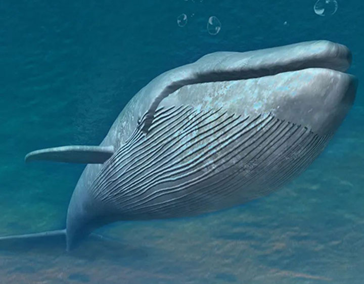 氫能技術_NEXO_海的聲音